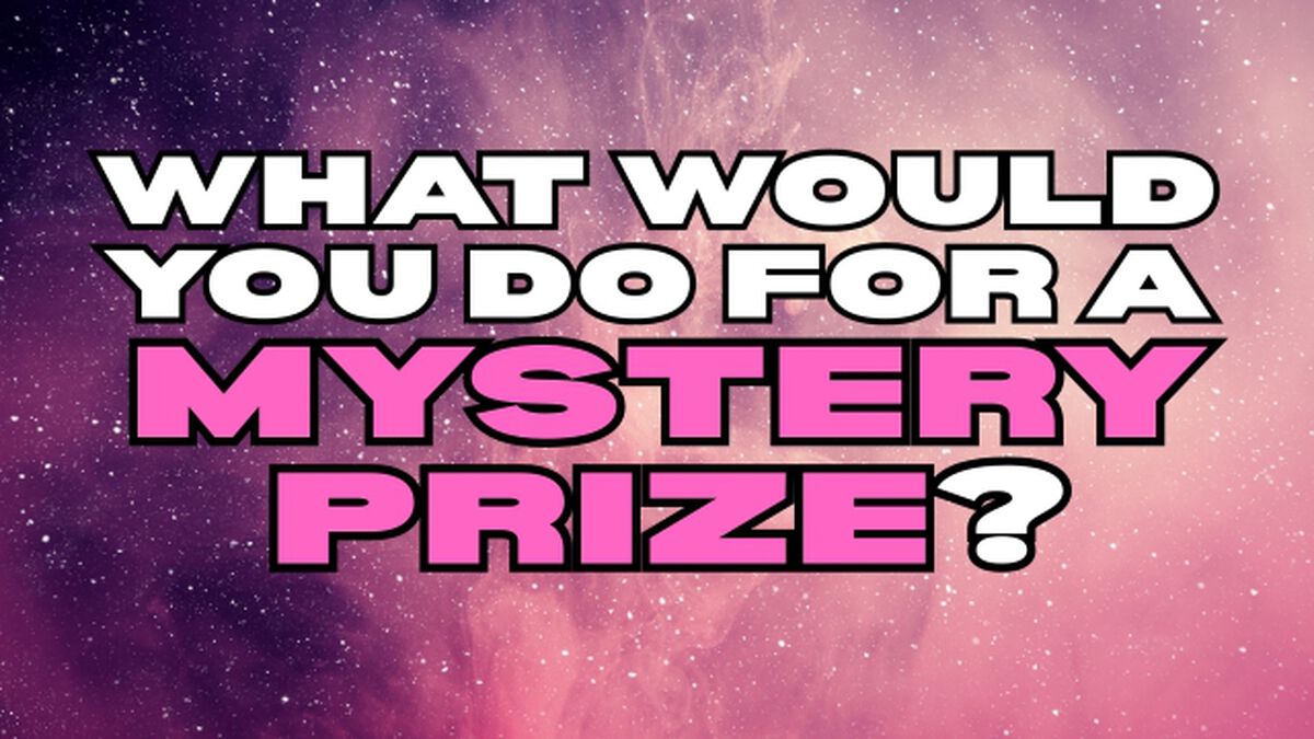 What Would You Do For A Mystery Prize? image number null